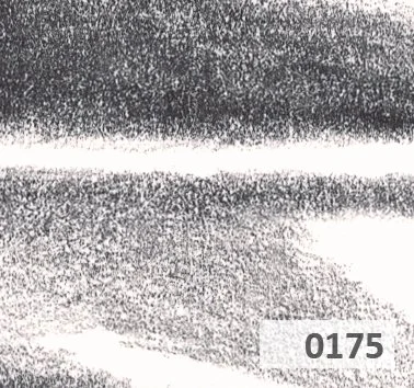 Slice 175.jpg