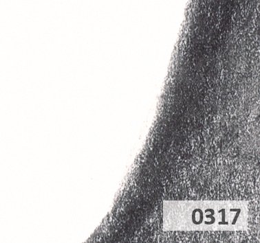 Slice 317.jpg