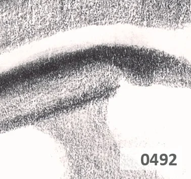 Slice 492.jpg