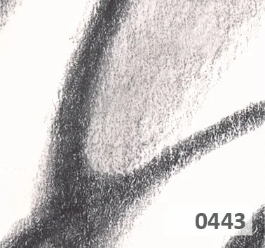Slice 443.jpg