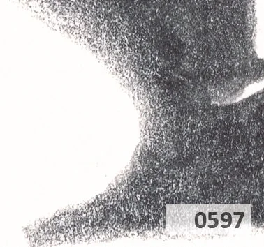 Slice 597.jpg