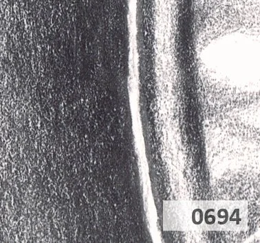 Slice 694.jpg