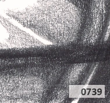 Slice 739.jpg