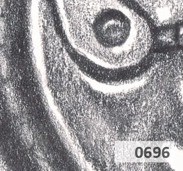 Slice 696.jpg