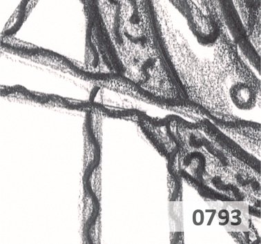 Slice 793.jpg