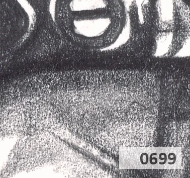 Slice 699.jpg