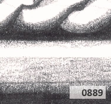 Slice 889.jpg