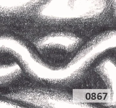 Slice 867.jpg