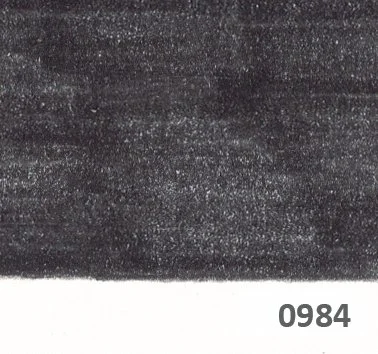Slice 984.jpg