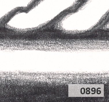 Slice 896.jpg