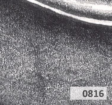 Slice 816.jpg
