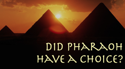 Did Pharaoh Have A Choice