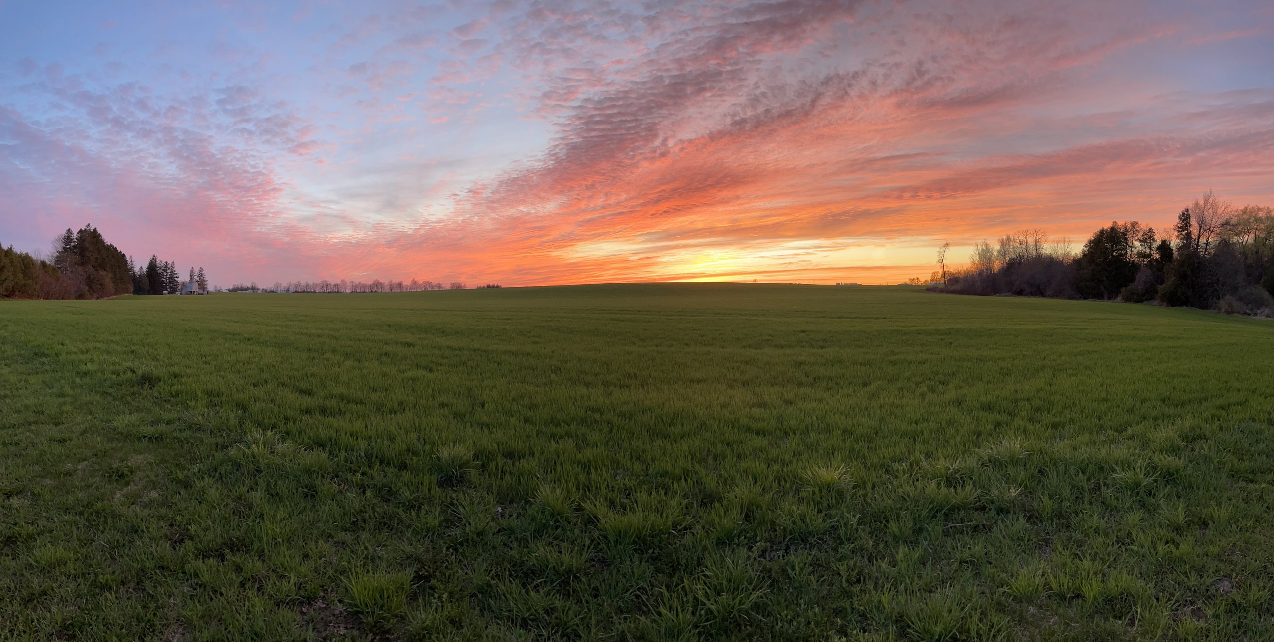 sunset 2.jpg