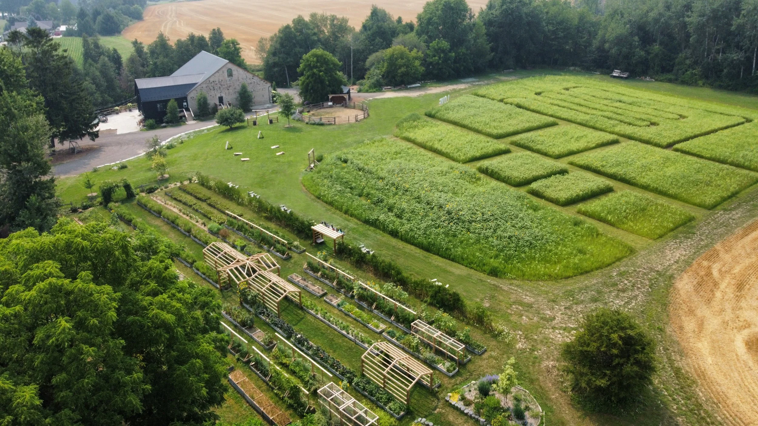 dji_fly_20250804_151128_612_1754335052016_photo_optimized copy.jpg
