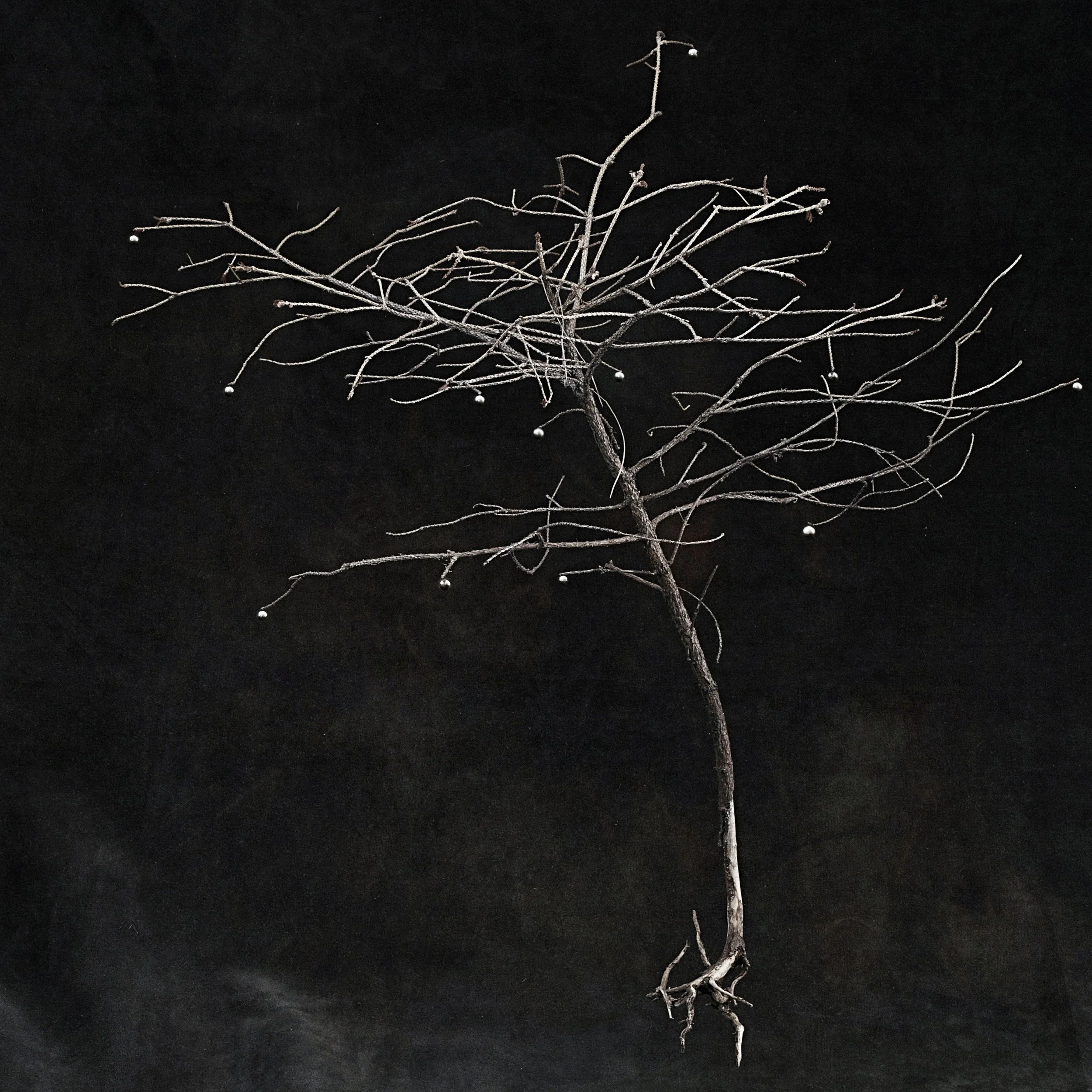 New cover image for In the Key of Sleep (Valentin Ivantsov)