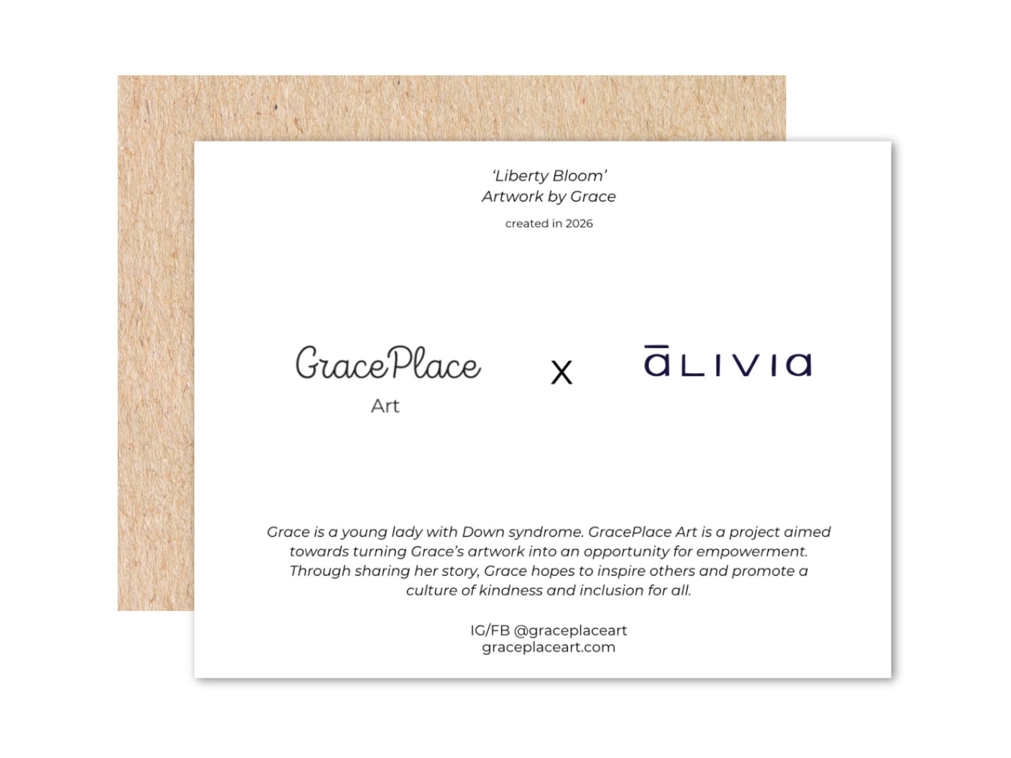 BoxSetBack Image.jpg