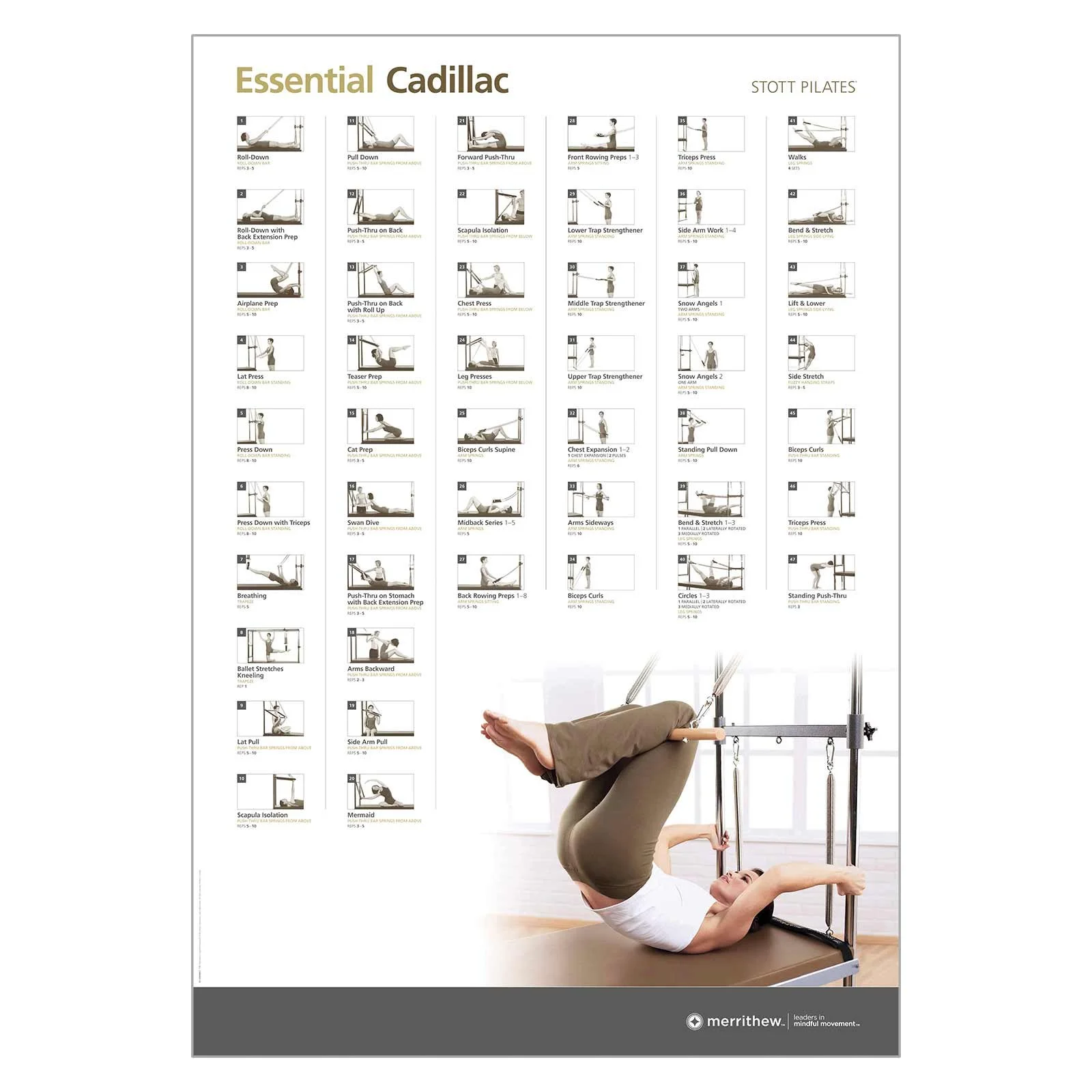 STOTT PILATES®  Essential Cadillac Wall Chart