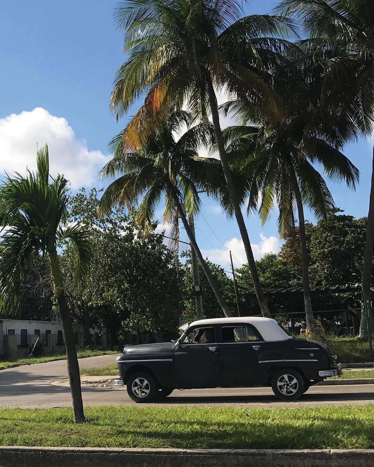 🇨🇺 #cuba #cars #travel
