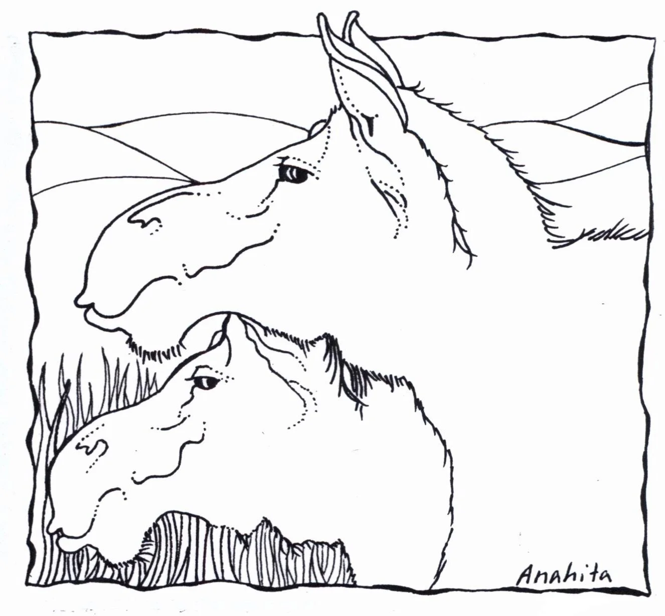 Oh look, they planted broccoli again