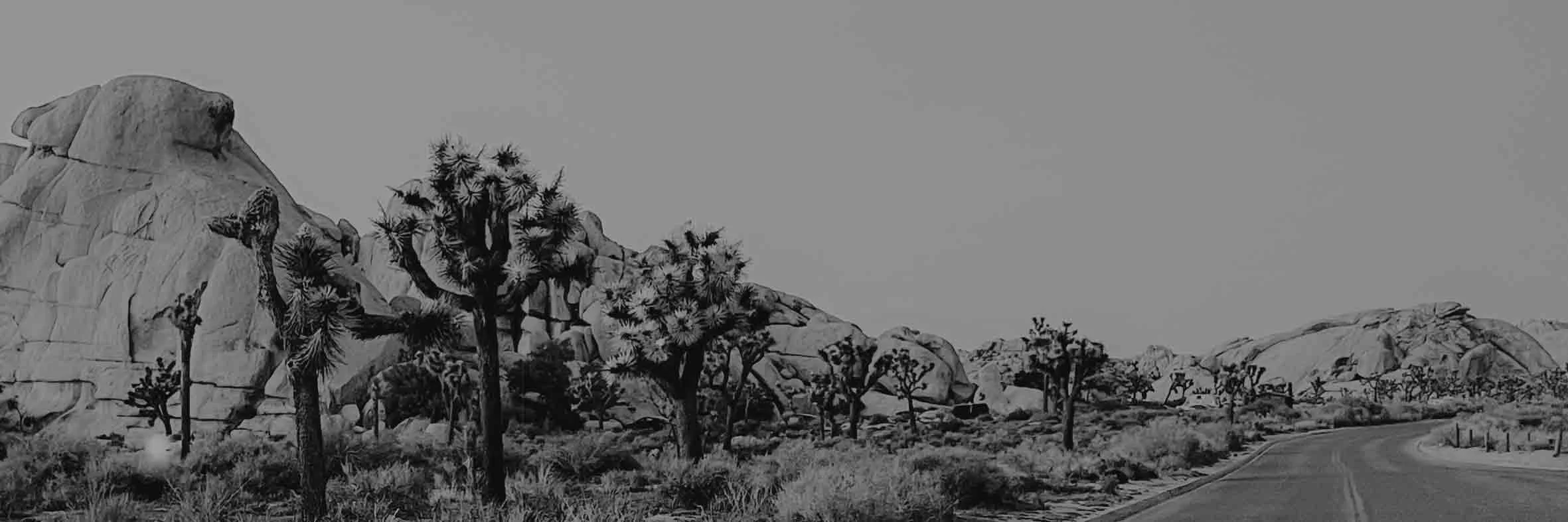 A black-and-white photo of desert landscape with trees, rock formations, and a winding road.
