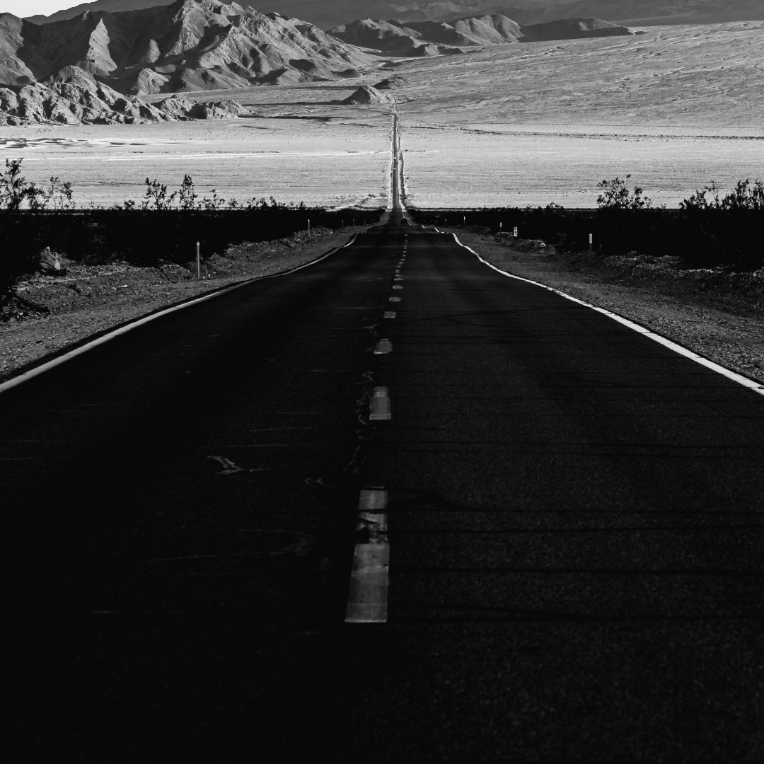 Untitled design (14).png