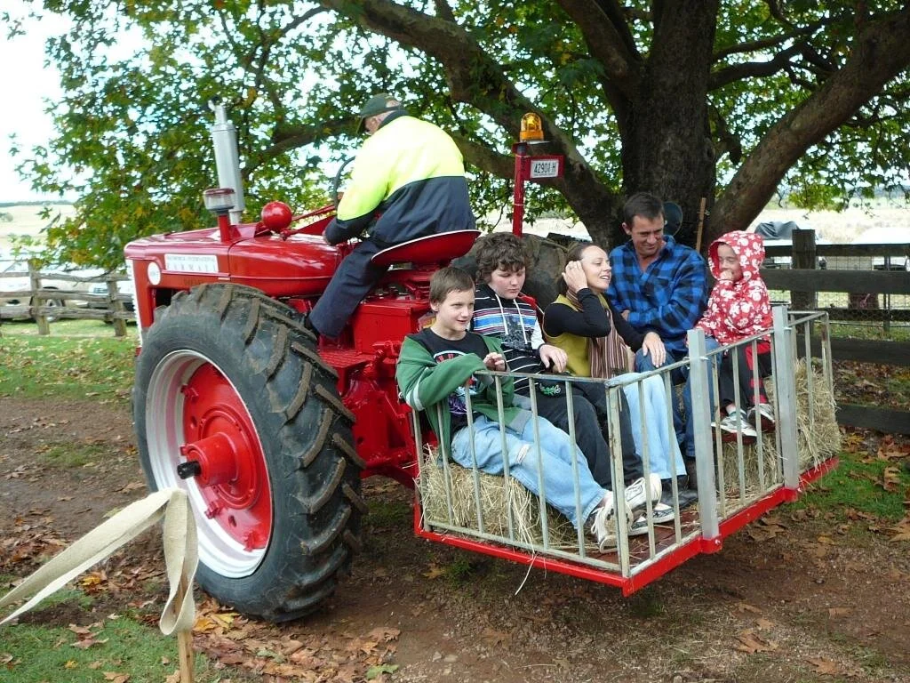 SAUMAREZ fARM fAIR 110417 022sml.JPG