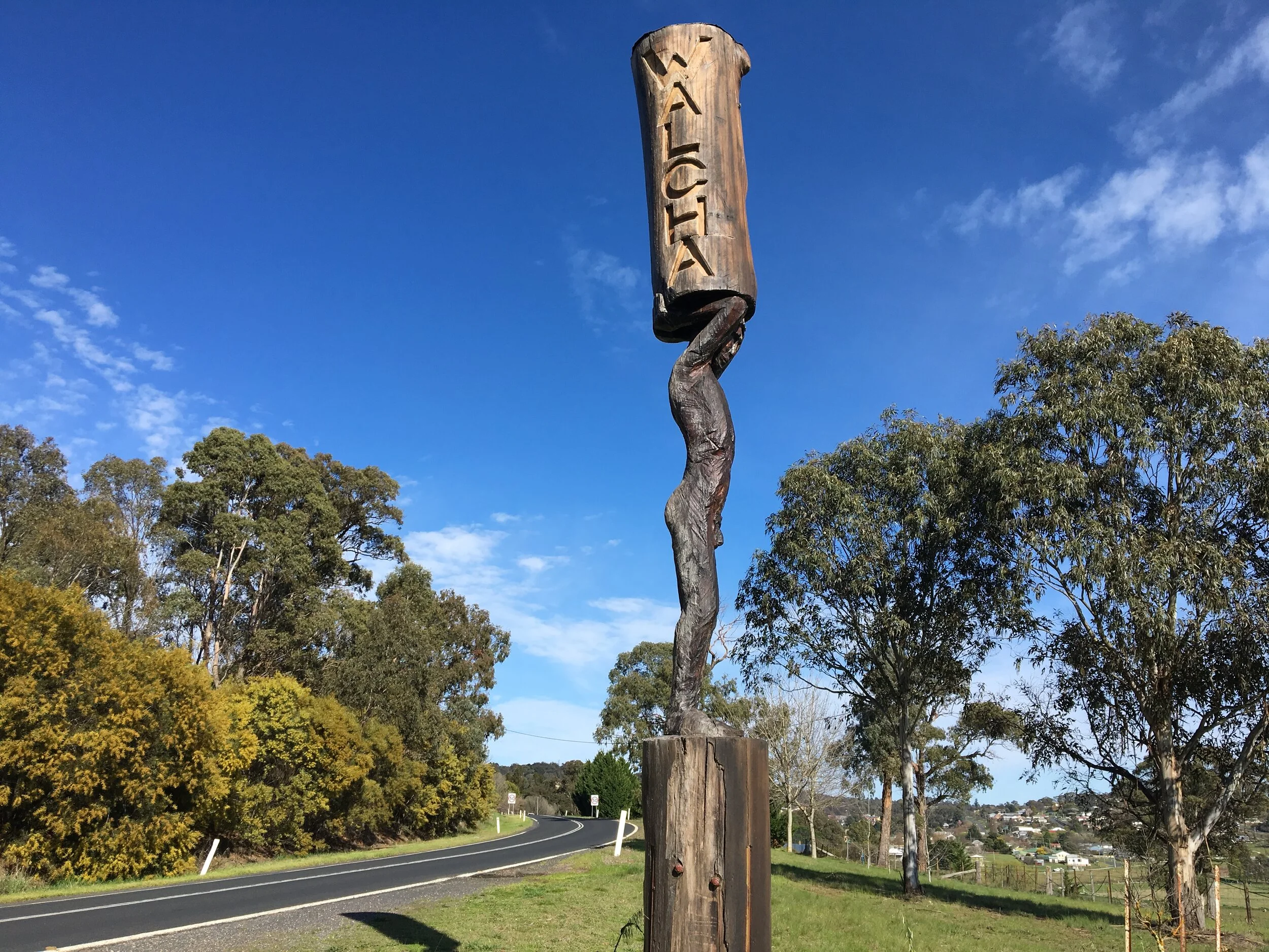 Strainer Post IMG_2977.JPG