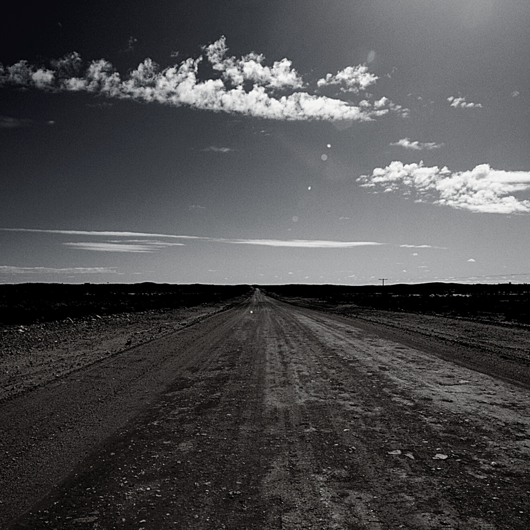 Untitled design (22).png