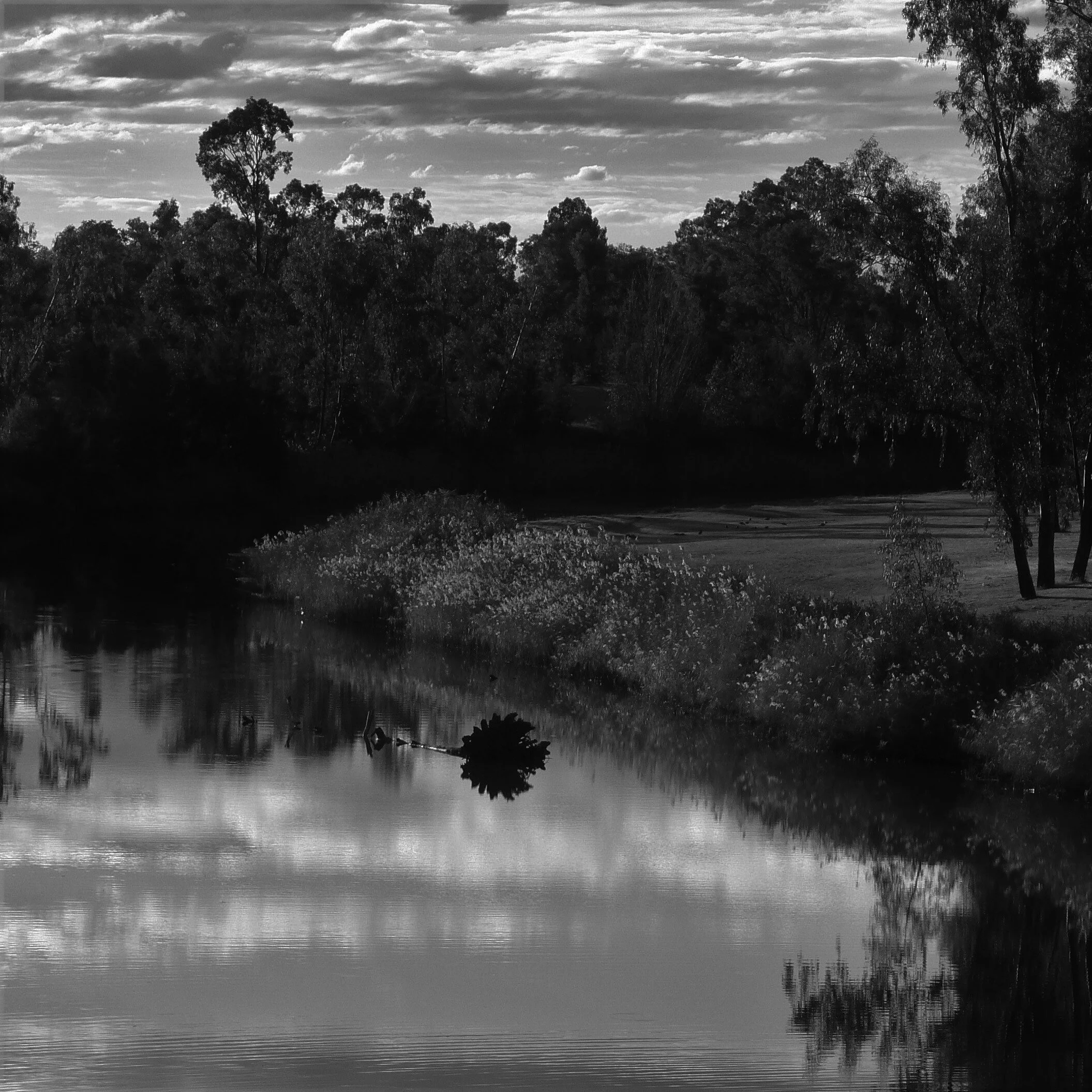 Narrabri.jpg