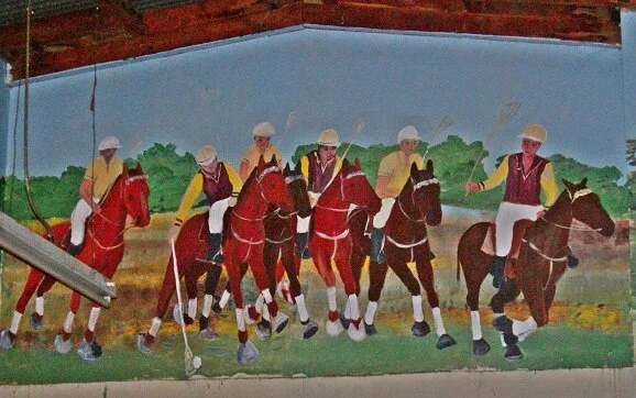 mendooran murals polocrosse 1.jpg