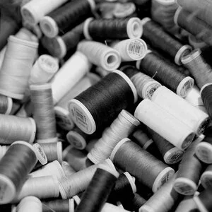 Melinda O’Donoghue