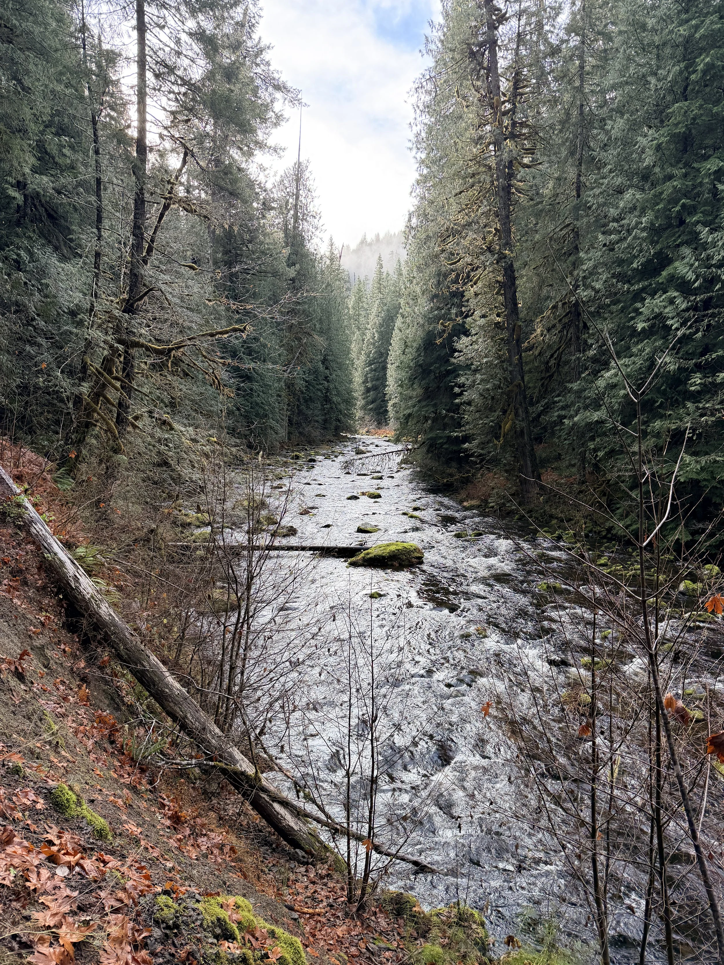 Salmon River Trail Overnight