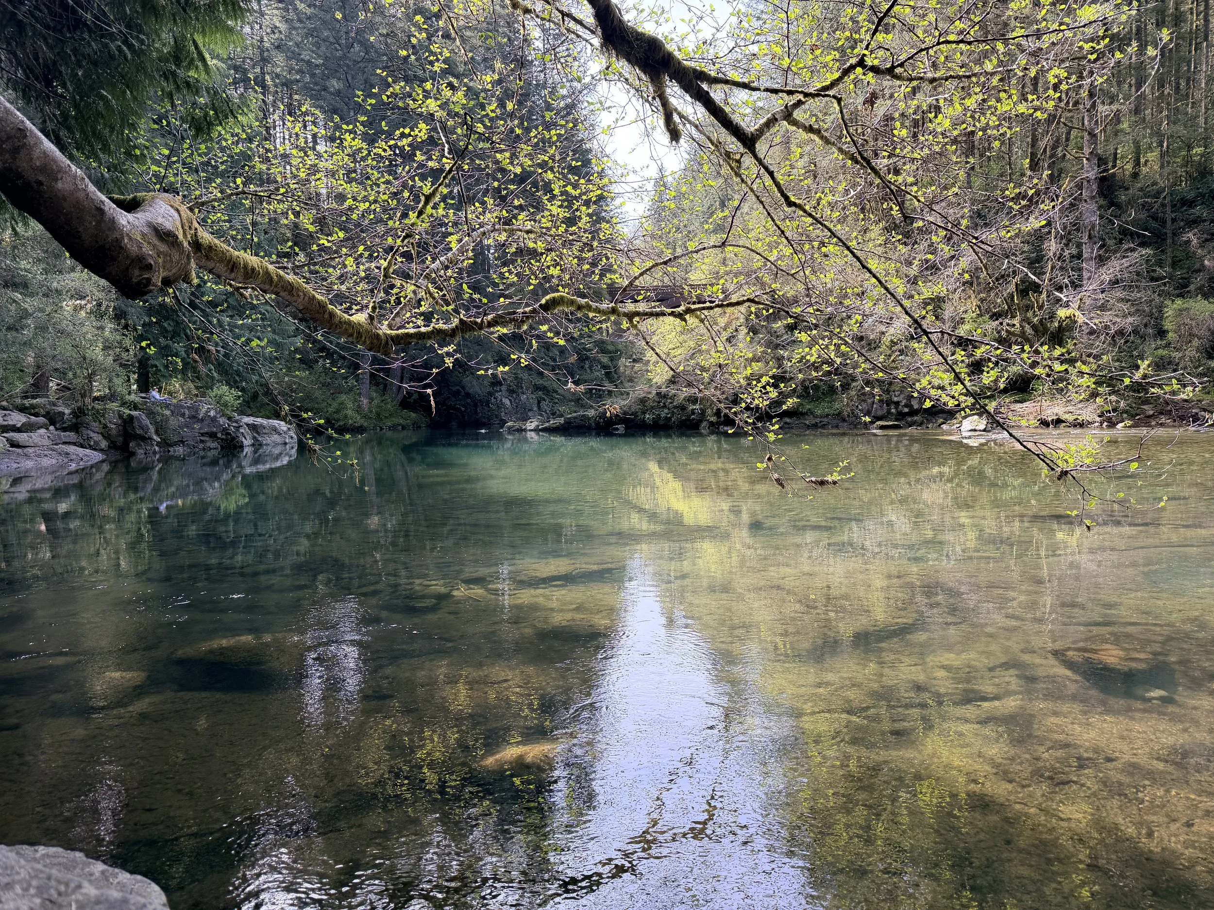 Moulton Falls Via Mount Bell