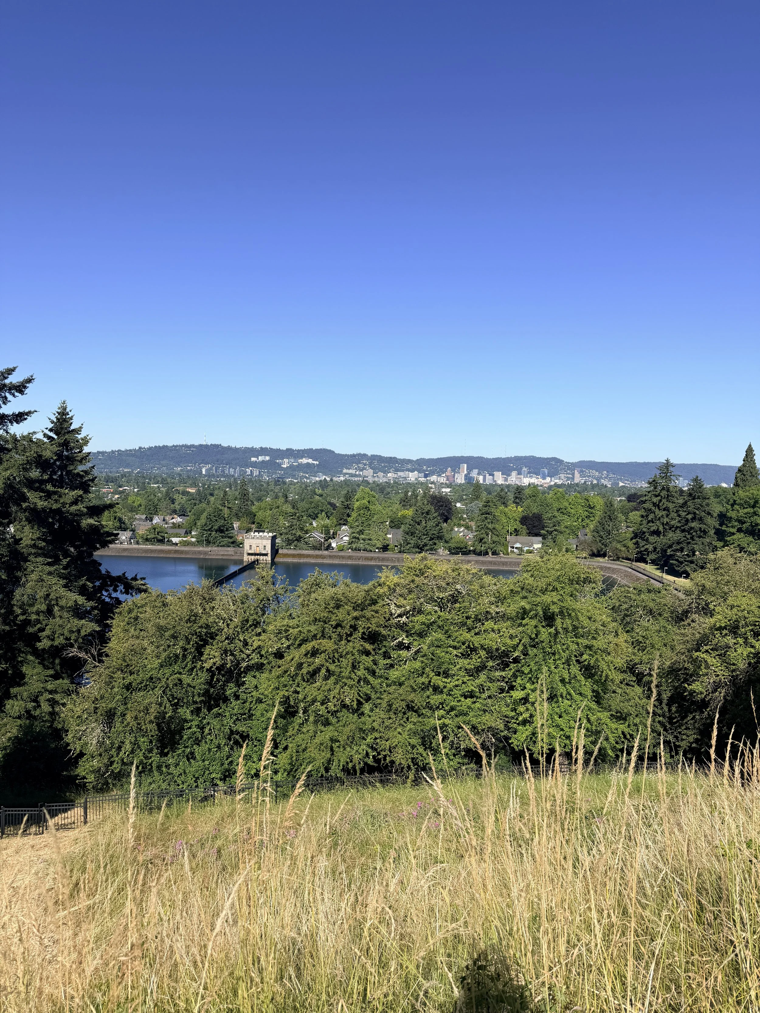 Mt Tabor Day Hike