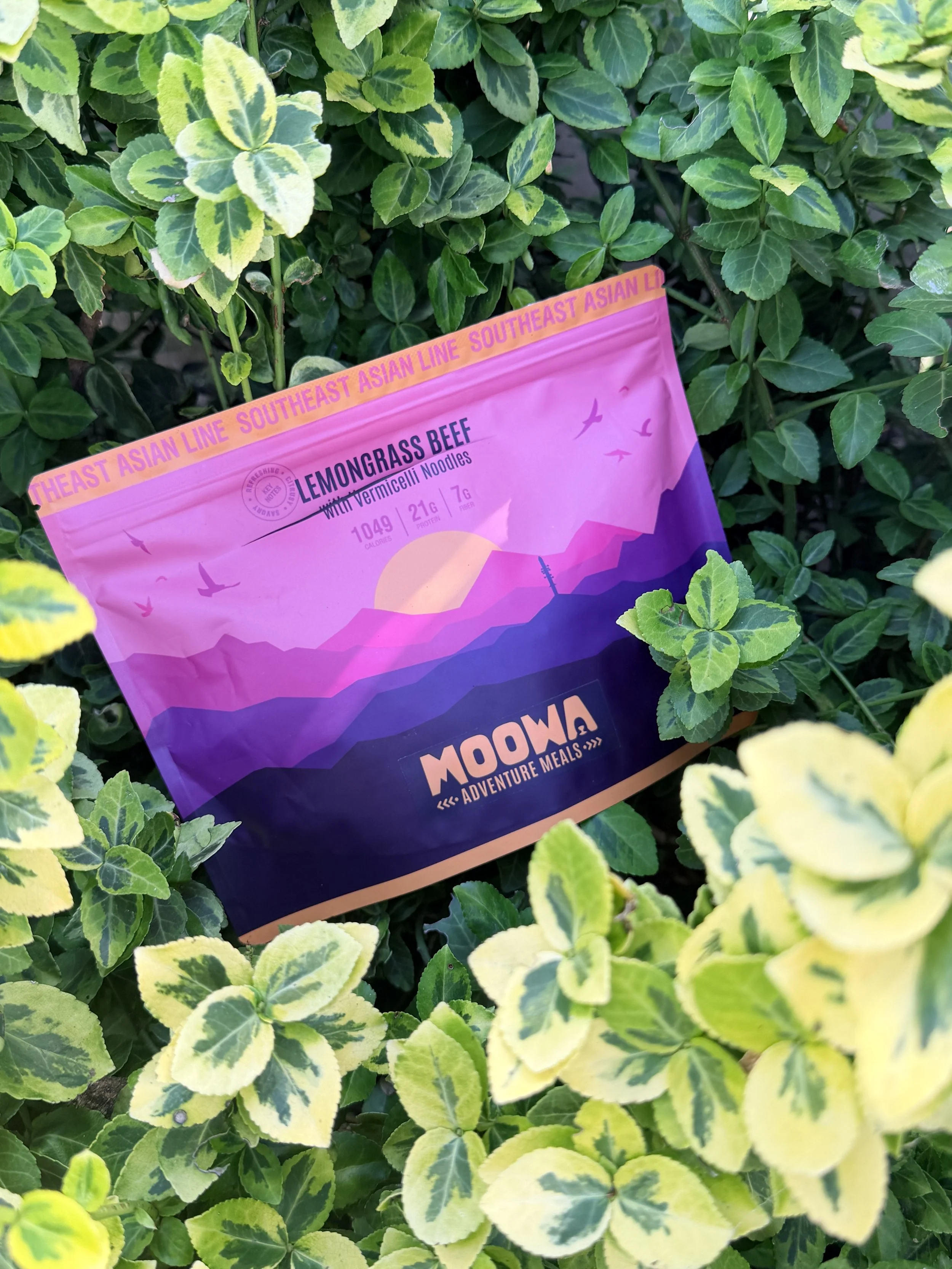 Moowa Lemongrass Beef