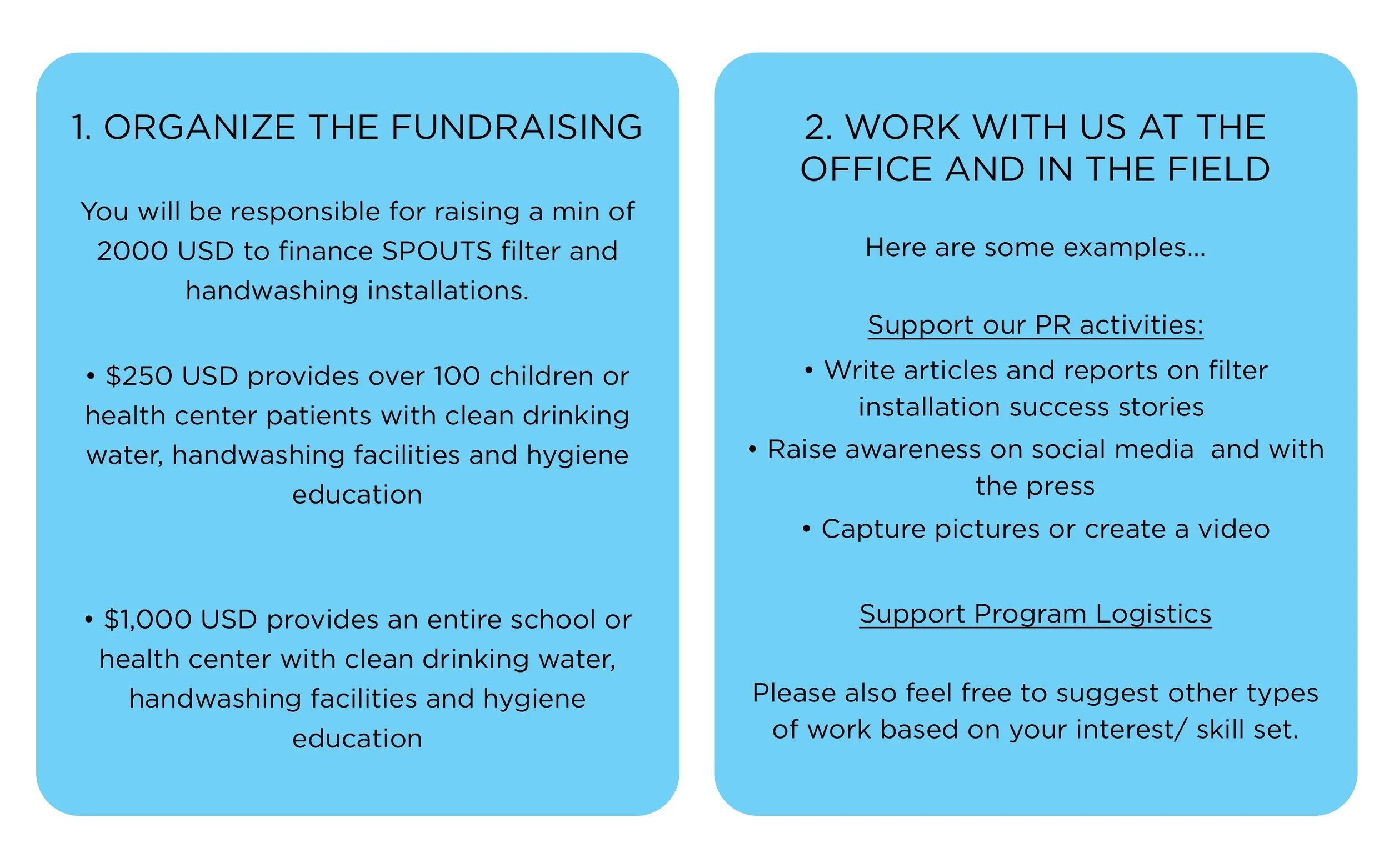 Volunteer Infographic .jpg