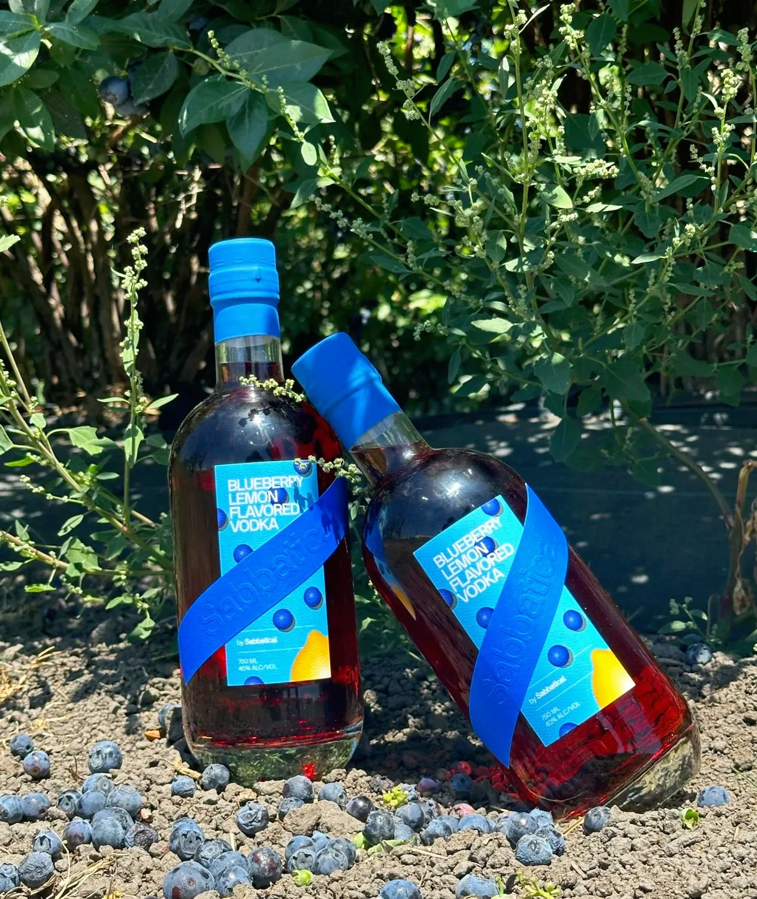 Blueberry. Lemon. Vodka. Enjoy