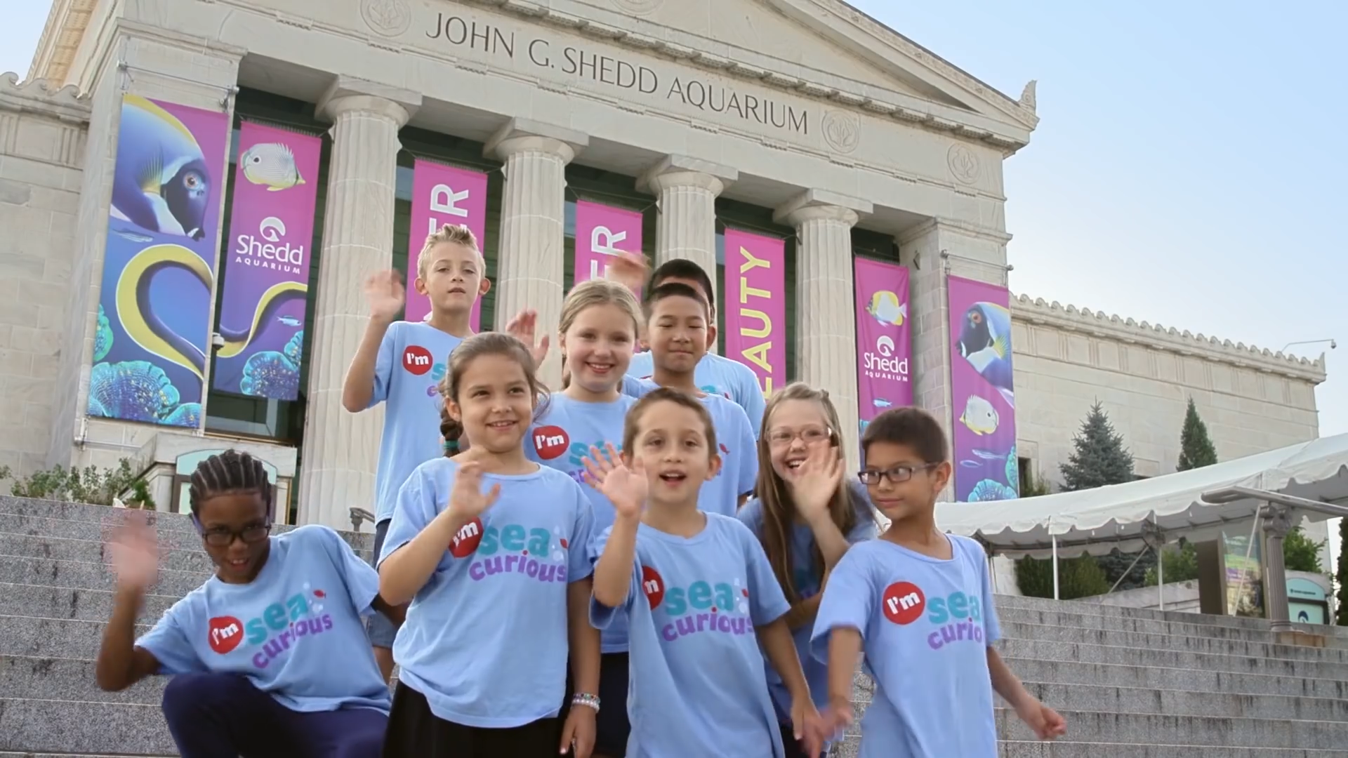 Shedd Aquarium