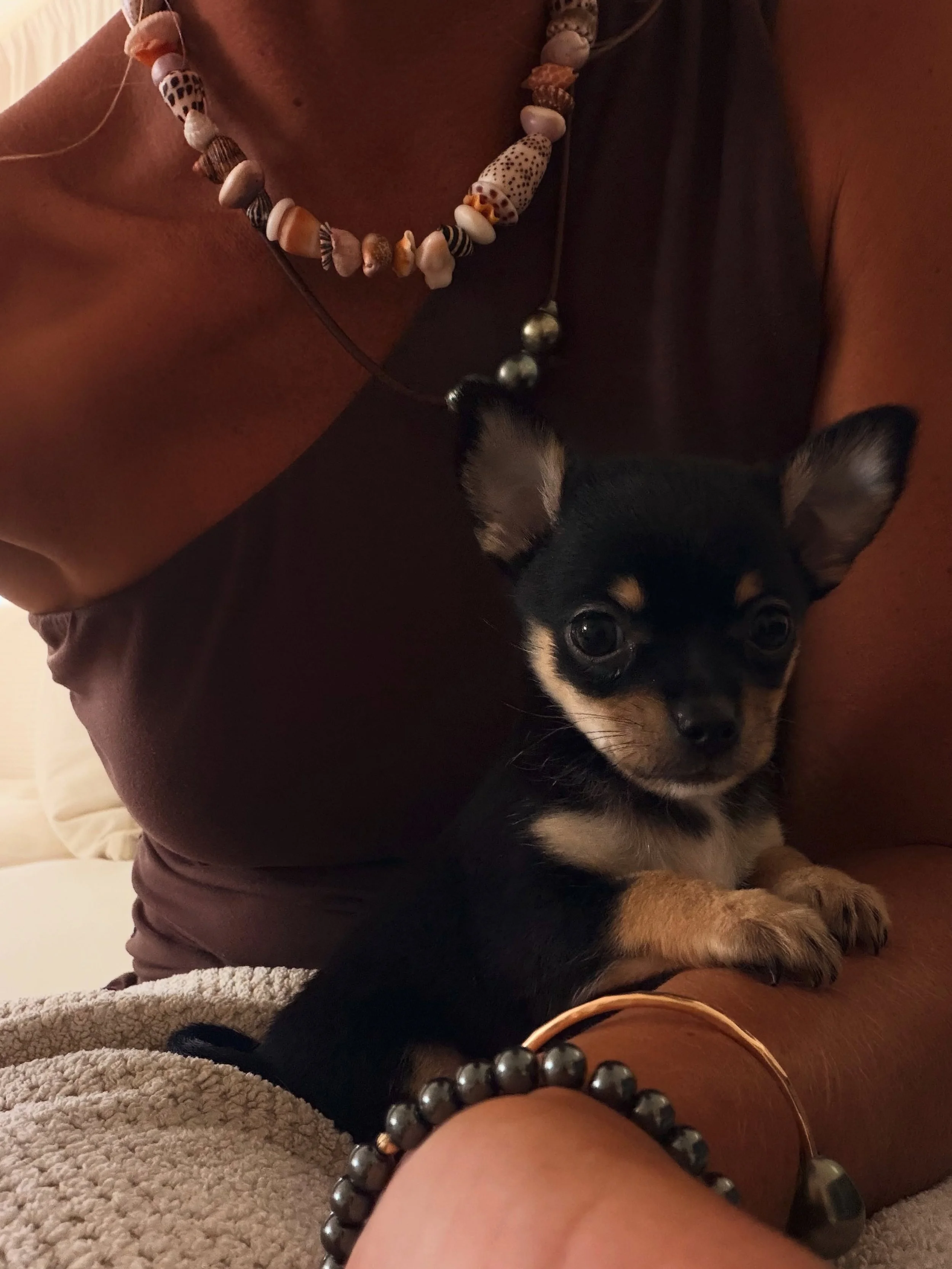 Sweet pupperz 💋
