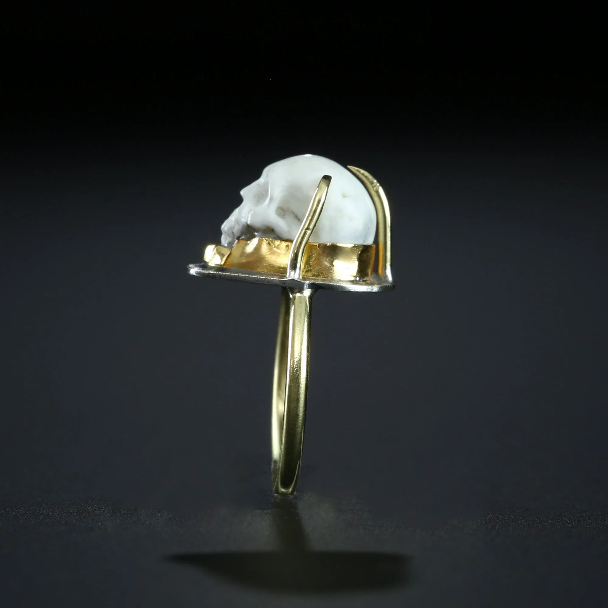 white-skull-b.jpg