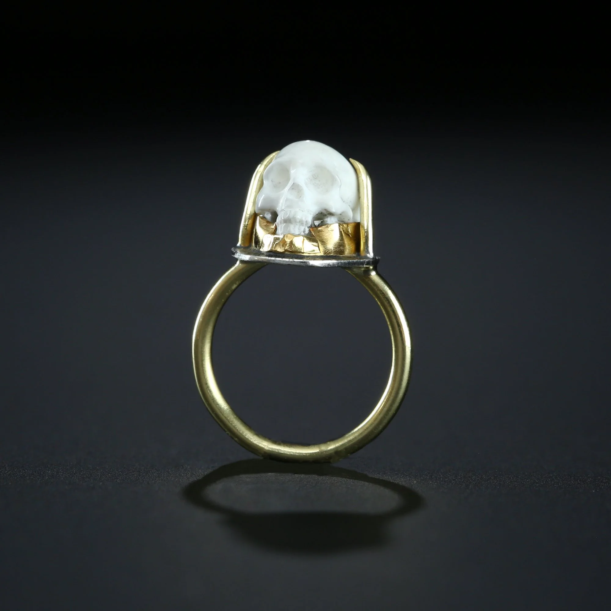 white-skull-a.jpg