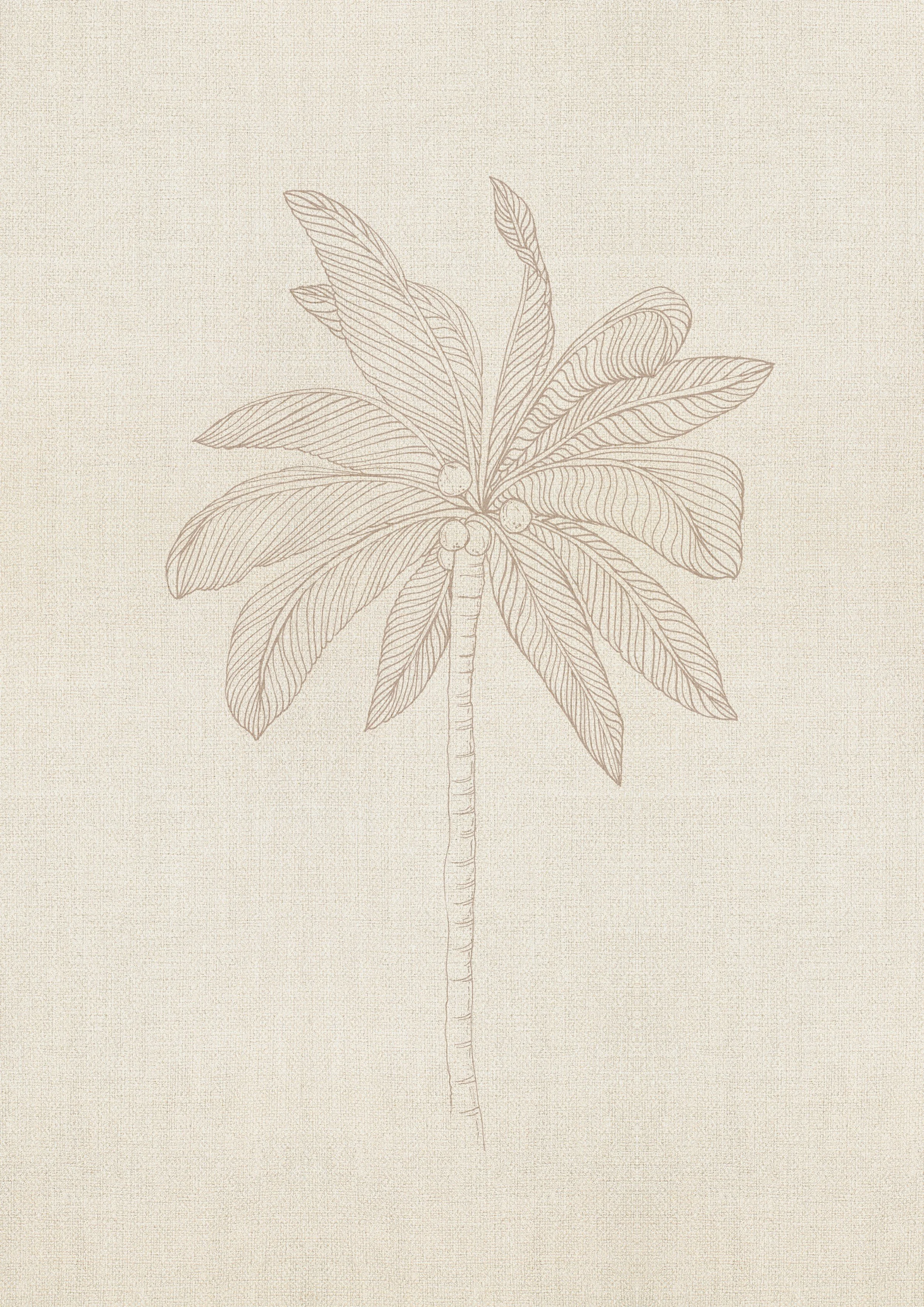 Coconut tres palm on Linen-choc-A3.jpg