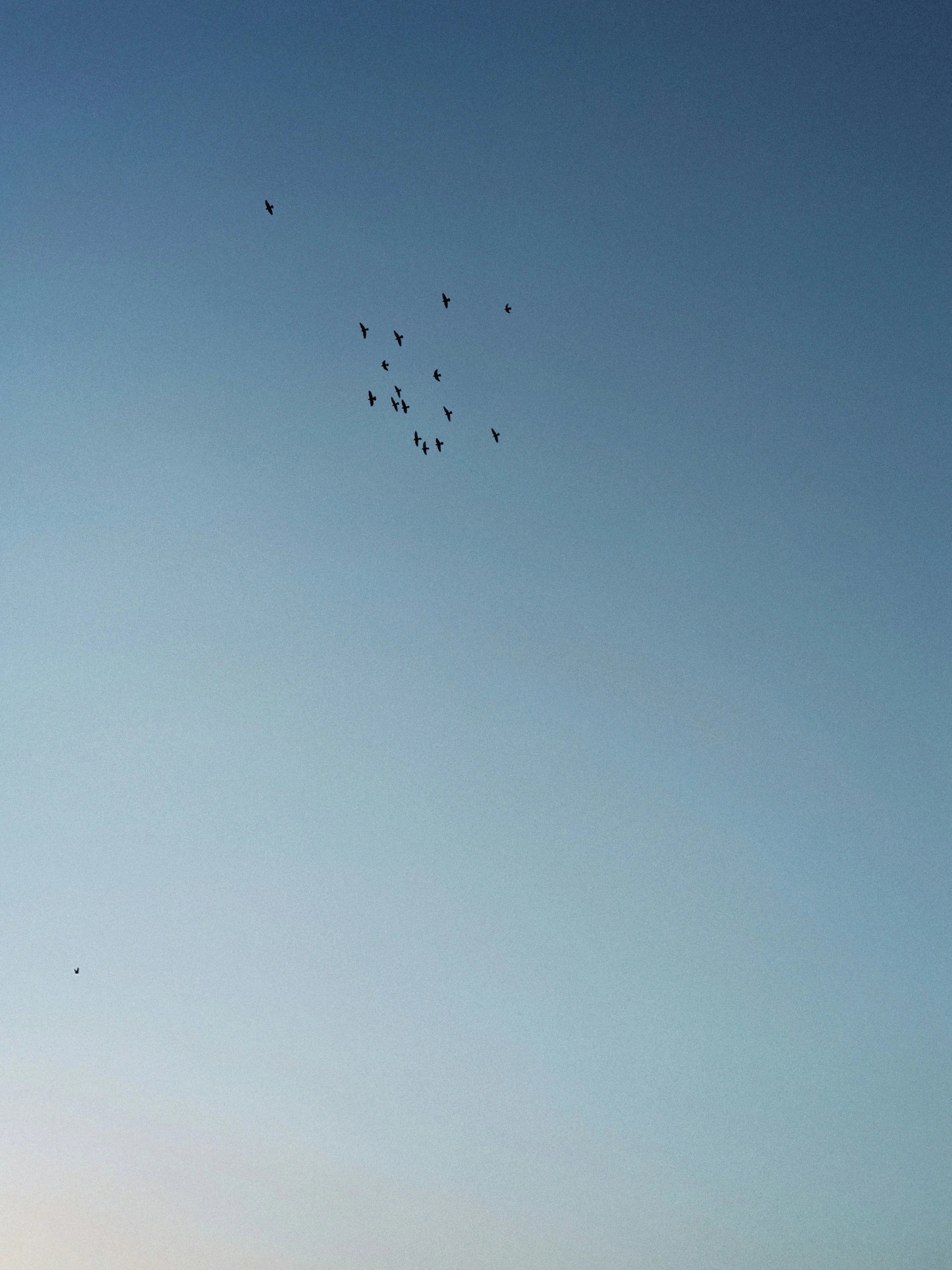 Teaching your kids about life’s challenges often means confronting your own