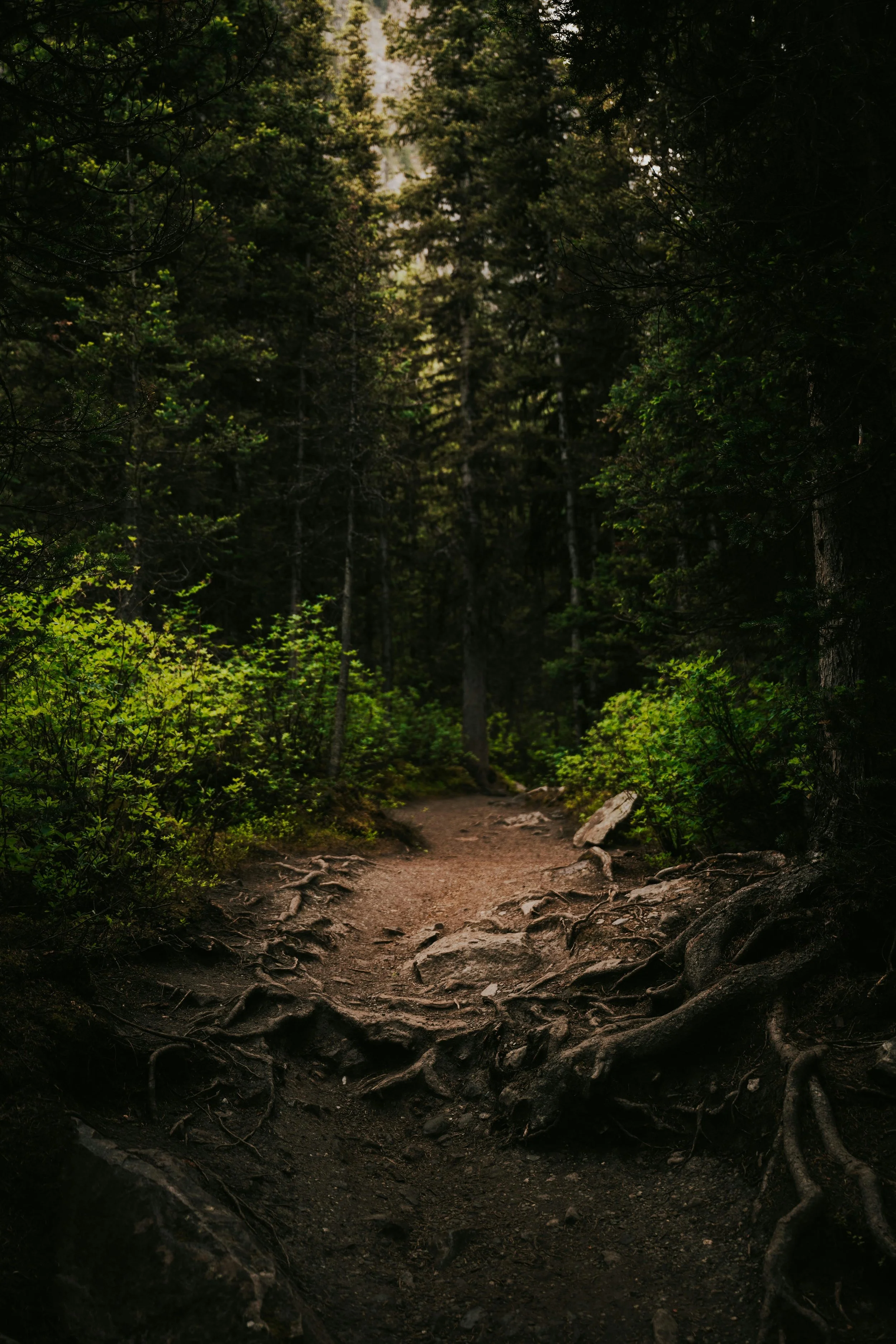 You learn how to write by writing