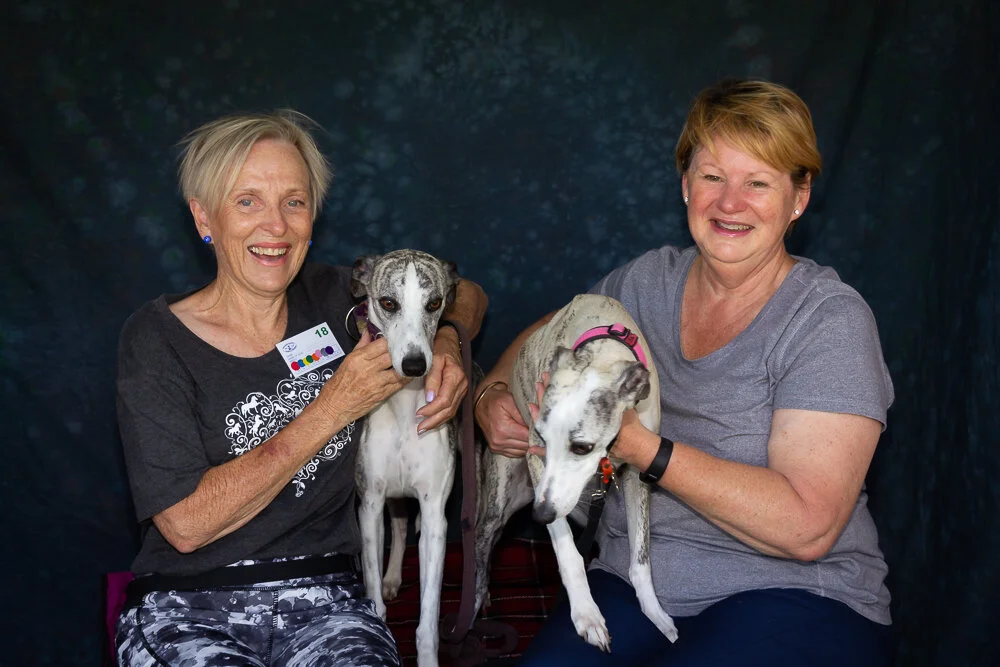 Gallery — Northern Suburbs Training & Obedience Dog Club