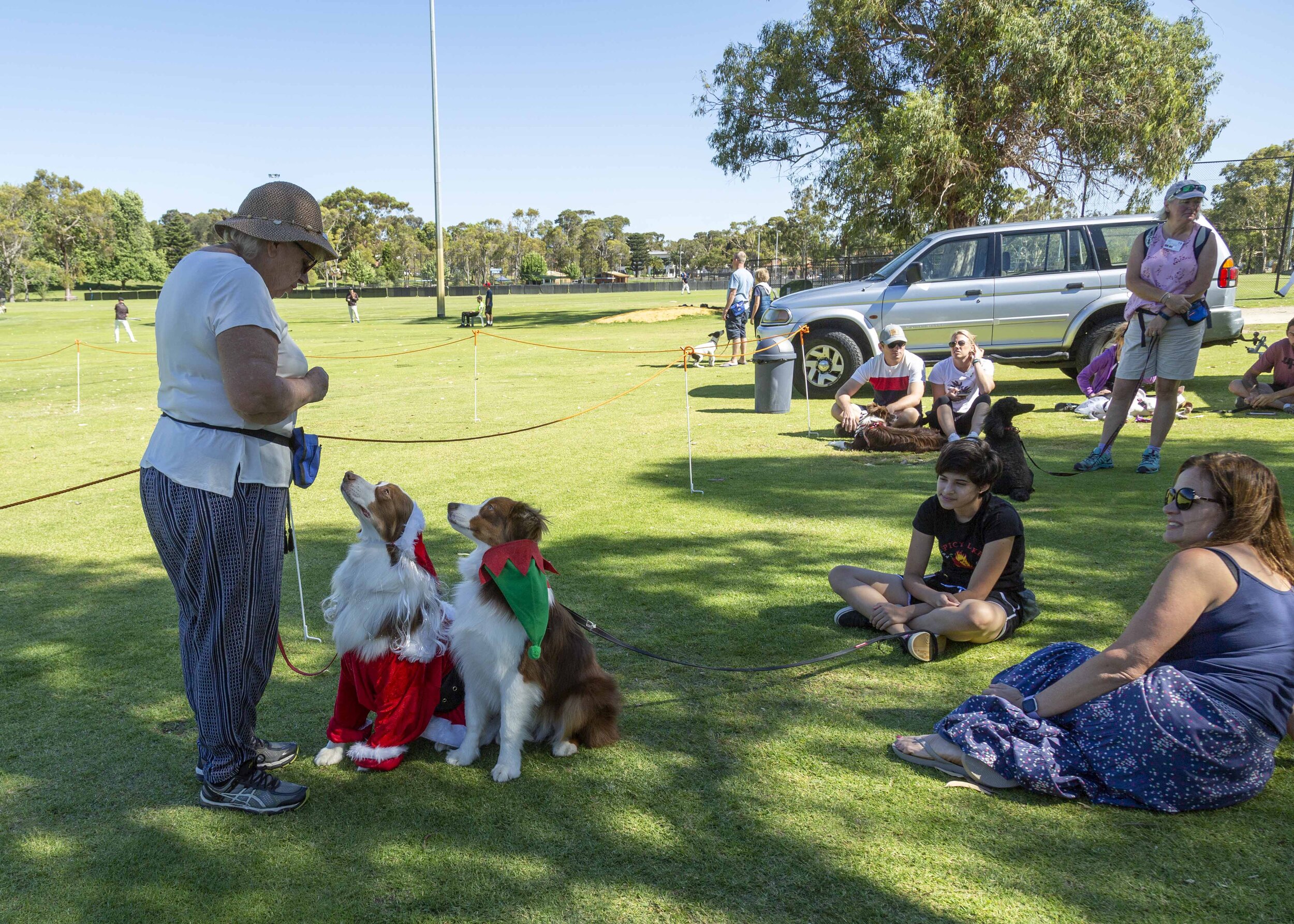 Gallery — Northern Suburbs Training & Obedience Dog Club