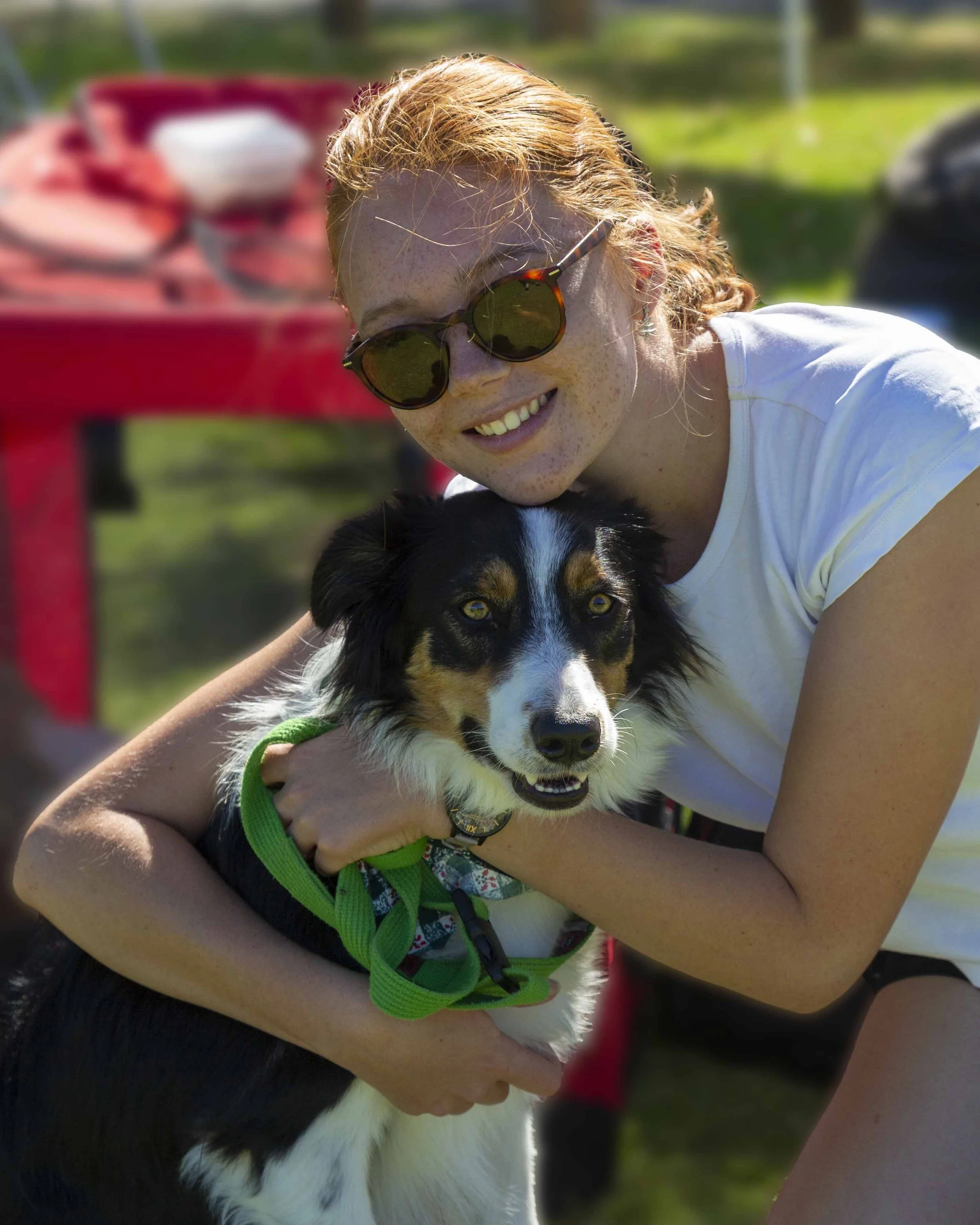 Gallery — Northern Suburbs Training & Obedience Dog Club