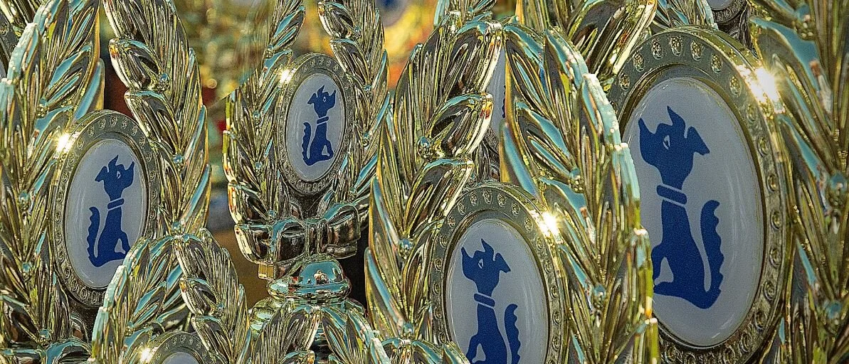 Members Competition and Achievement Trial