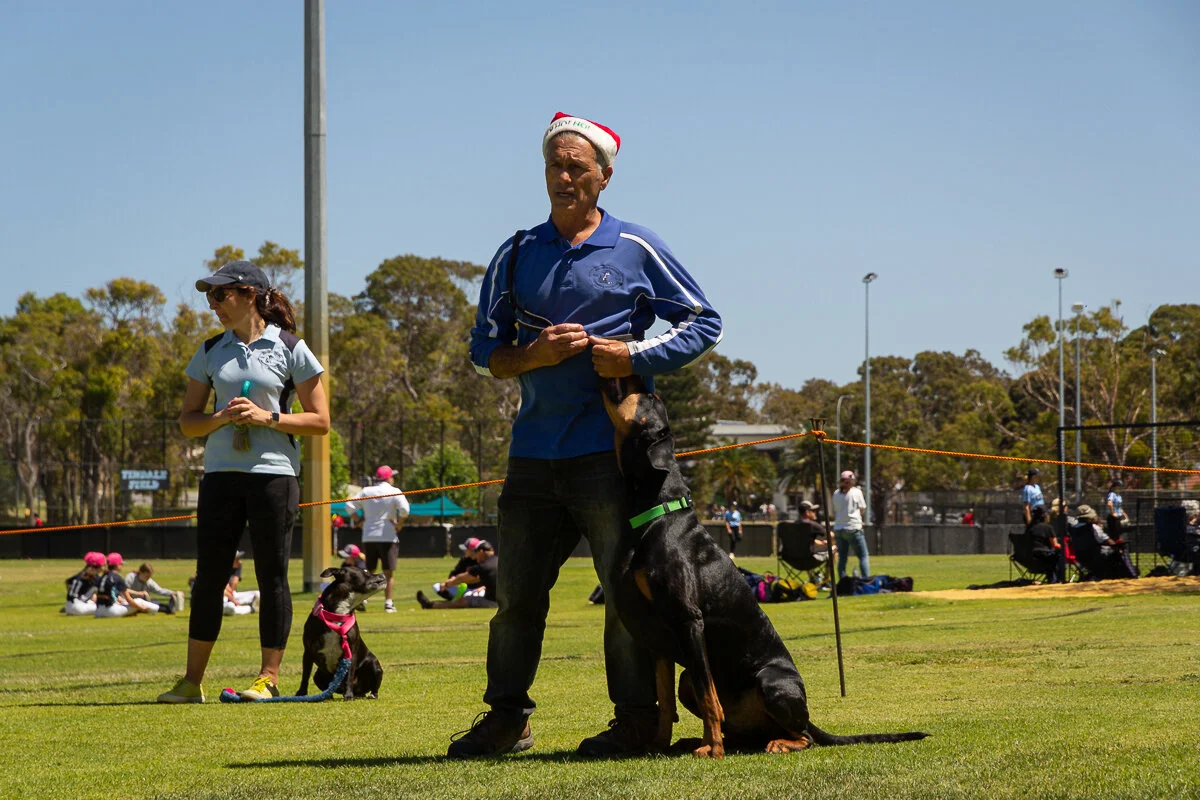 Volunteers — Northern Suburbs Training & Obedience Dog Club