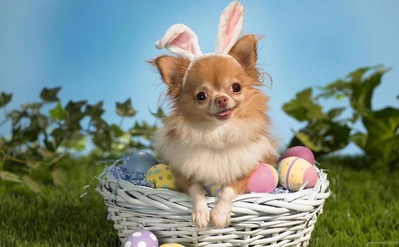 Easter Weekend.